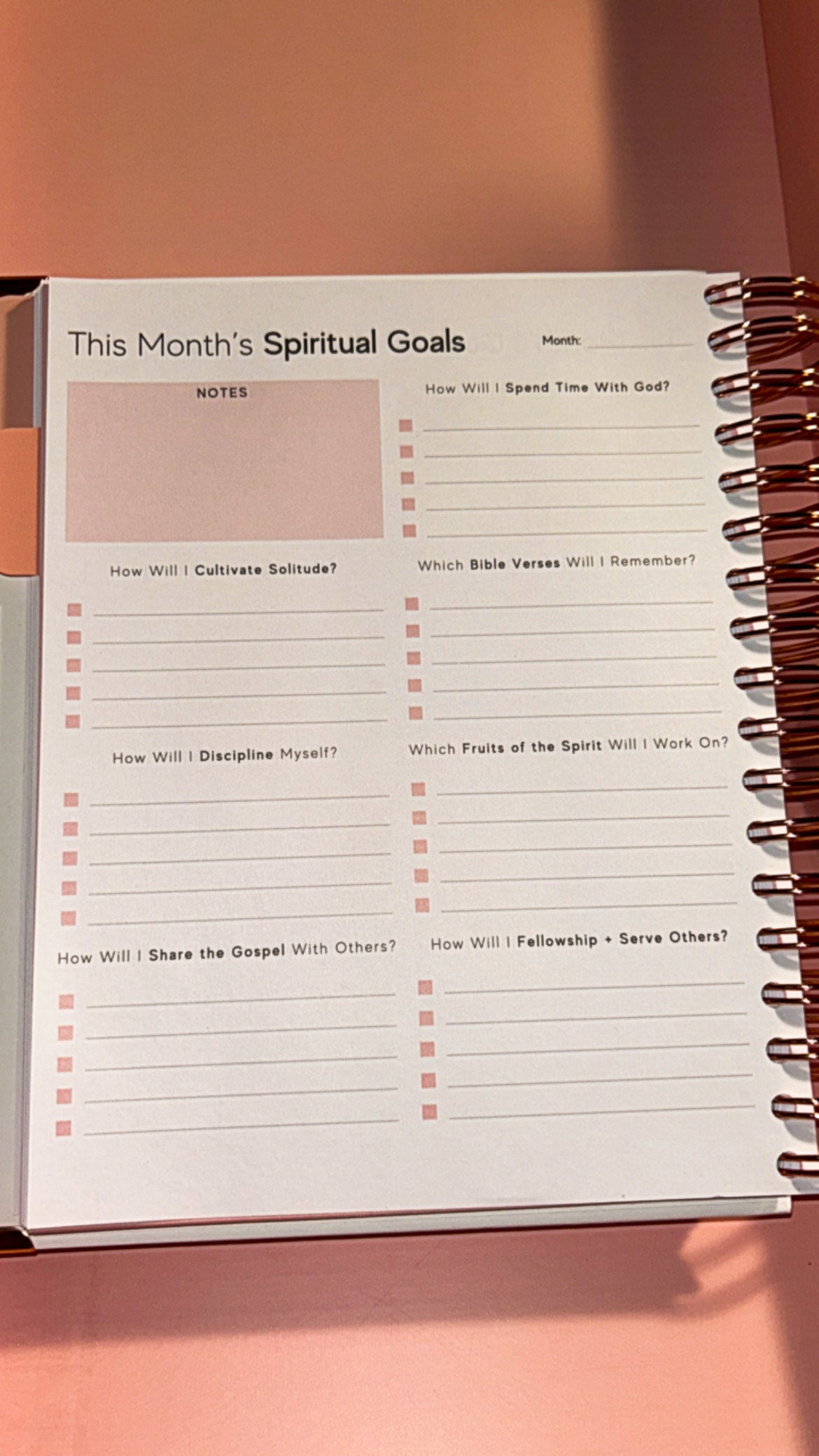DEAL - 2 FOR $35 PRAYER JOURNAL